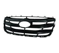 Griglia radiatore nero compatibile con Hyundai Santa Fé II CM 2009-2011