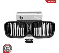 Griglia radiatore nero opaco 66SKV267 ESEN SKV per BMW X3 X4 X3 Van