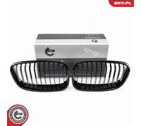 Griglia radiatore per BMW 1