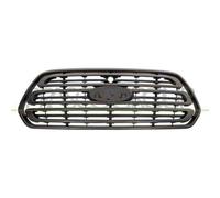 Griglia Radiatore Per Ford Transit (ttg) Dal 2014 Al 2019 Fd9132001 1865286