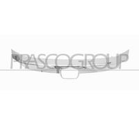 PRASCO HD0482206 Griglia radiatore