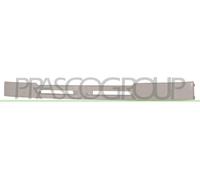 PRASCO PG9502001 Griglia radiatore