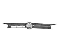 Griglia Radiatore Per VOLKSWAGEN POLO Dal 2017 Al 2021 VG0252011 2G0853651LRYP