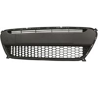 Griglia radiatore PICANTO 11-06.15 865691Y000