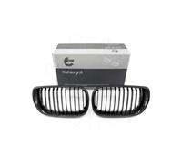 Griglia radiatore Set of L&R single ridge colour: carbon BMW 3 E46 Facelift