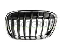 Griglia Radiatore Sinistra Bmw X1 / F48 Dal 2015 Al 2019 Lato Sx 51137354823