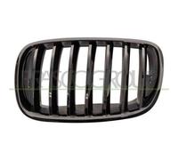 Griglia Radiatore Sinistra BMW X5 / E70 / M/TECH 2007/2010 LATO SX 51712150247