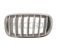 Griglia Radiatore Sinistra Bmw X5 / F15 Dal 2013 Al 2018 Lato Sx 51117303107