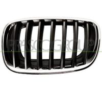 Griglia Radiatore Sinistra Cromata Bmw X5 / E70 2007/2010 Lato Sx 51137157687