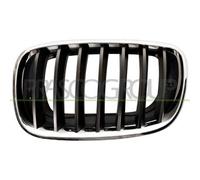 Griglia Radiatore Sinistra Cromata-Cromata-Nera Bmw X6-E71-(Anno 2008-2014)