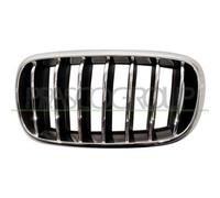 Griglia Radiatore Sinistra Cromata Bmw X5 / F15 2013/2018 Lato Sx 51137316061