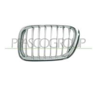 Griglia Radiatore Sinistra Cromata-Grigia Mod Fino Ott 2003 Bmw X5-E53-(Anno 200
