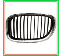 Griglia del radiatore BLIC 6502-07-0077991P