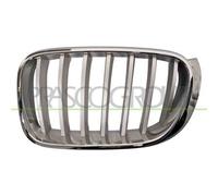 Griglia del radiatore BLIC 6502-07-00939955P sinistro