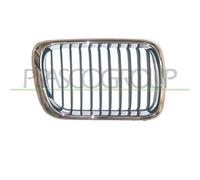 PRASCO BM0142124 Griglia radiatore