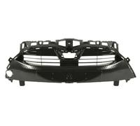 BLIC 6502-07-8158990P Griglia radiatore
