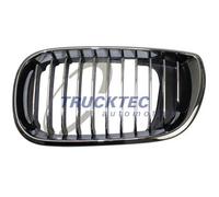 Griglia radiatore Sx 08.62.298 TRUCKTEC AUTOMOTIVE per BMW 3 Touring 3