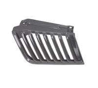 Griglia Radiatore SX Adatto Zu: Mitsubishi SX 200 / Triton 11.05-11.10