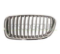 Mascherina anteriore sinistra per serie 5 f10 f11 2010-2013 cromata grigia