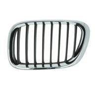 BLIC 6502-07-0095993P Griglia radiatore per BMW