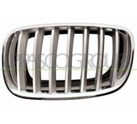 Griglia radiatore Sx per BMW X5