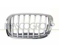 Griglia radiatore Sx per BMW X6