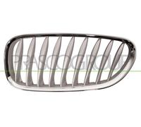 Griglia radiatore Sx per BMW Z4