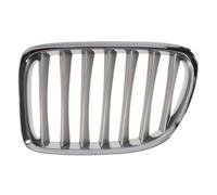 Griglia Radiatore Titanio Cromo Adatta Per BMW X1 E84