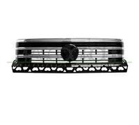 Griglia Radiatore Per Volkswagen Crafter Autobus, Crafter Furgone E Crafter P...