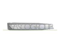 PRASCO BM8082134 Griglia paraurti