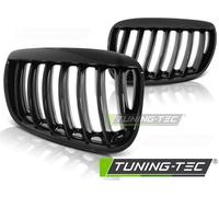 Griglia Sportiva Lucida Nera in Plastica Wabengitter Per BMW X5 E53 04-06
