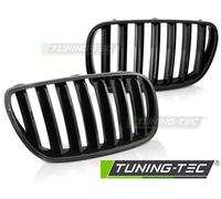 Griglia Sportiva Nera Lucida Wabengitter Tuning-Tec Per BMW X3 E83 LCI 06-10