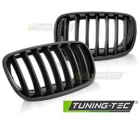 Griglia Sportiva Nera Opaca Wabengitter Tuning Tec Per BMW X5 E70 X6 E71 08-