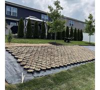 Griglia stabilizzatrice per ghiaia per pendii da giardino, spessore 10 cm, anti-deformazione, griglie stabilizzanti per vialetti, parchi e griglie cellulari in evoluzione (1 m)