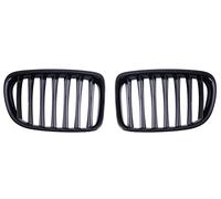 Griglie Anteriori Front Gloss Black Rene Sport Griglie Hood Grill Per BMW E84 X1 2010-2015 Car Styling