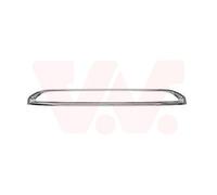 Griglie Paraurti Frontale Adatto A per Citroën C1 Pm _ Pn _ 1.0 1.4 HDI