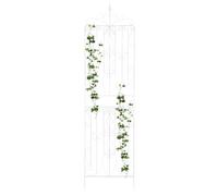 Griglie per tralicci in metallo, 65 x 237 cm, traliccio da giardino, traliccio in ferro, 2 tralicci per vite, clematide, venti dolci, edera, piselli (bianco)
