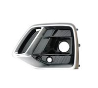Griglie Radiatori Per Q5 2021 2022 Lato Sinistro Destro Auto Paraurti Anteriore Griglie Luminose Griglia Da Corsa Griglia Fendinebbia(Silver Left)