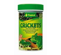 Tropical Crickets 100ml