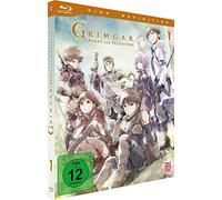 Grimgar, Ashes and Illusions - Vol. 1