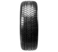 Gripmax Status Pro Winter (245/50 R19 105V)