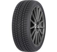 GRIPMAX PRO WINTER (Status und Suregrip) 255/40 R18 99 V M+S Pneumatico Inverna