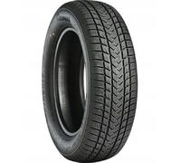 Gripmax Suregrip eWinter 245/45R17 99V XL BSW M+S 3PMSF