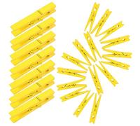 GRIRIW 30pezzi Mollette per Bucato in e Metallo Colore Giallo per Fissare Trapunte Copripiumini e Vestiti