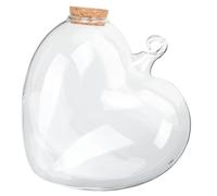 GRIRIW Barattolo in Vetro Trasparente con Stella Origami, Bottiglia Desideri Sospesa con Foro per Appendere, Contenitore Multiuso Decorativo e Salvaspazio per Desktop, Set da Più Pezzi