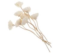 GRIRIW Bastoncini Diffusori Rattan Aromatici a Forma Di Fiore, Accessori Per Naturali Per Casa, Soggiorno e Camera Da Letto, Confezione Da 8 Pezzi