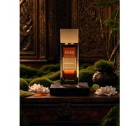Gritti Venetia Muskaria 100 ml Unisex