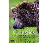 Grizzlies in Denali National Park and Preserve