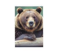 Grizzly Bear - Bandiere per esterni, 7,6 x 0,9 m, stampa verticale su entrambi i lati, bandiere da giardino per esterni, con occhielli, bandiera per casa, cortile, per prato, portico, decorazioni per
