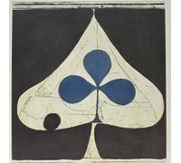 Grizzly Bear - Shields